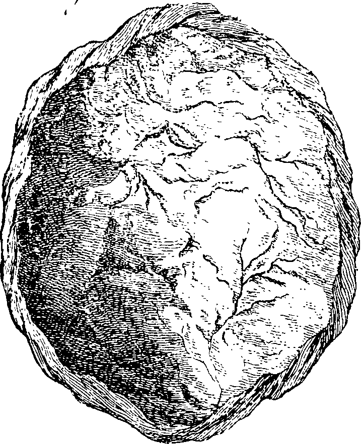 061/061940050104850_0.png