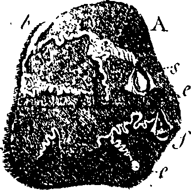 061/061940050104860_0.png