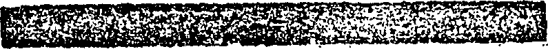 061/061960080000480_0.png