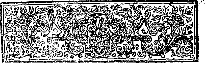 062/062020030000020_1.png