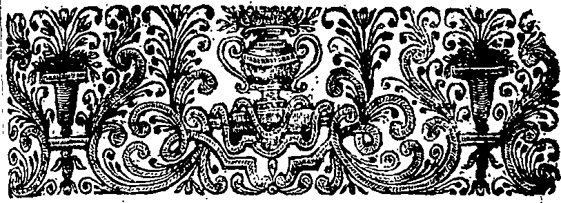 062/062020070002310_1.png
