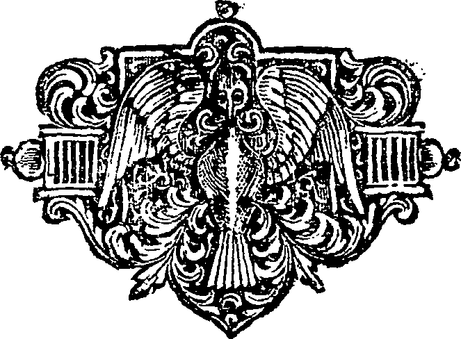 062/062100010202050_0.png