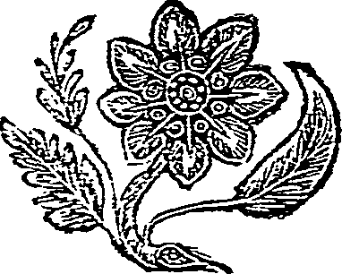062/062100020100410_0.png
