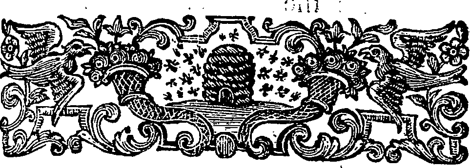 062/062100020202030_0.png