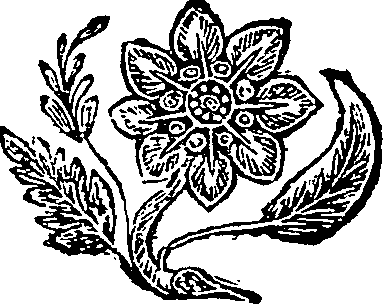 062/062100020202420_0.png