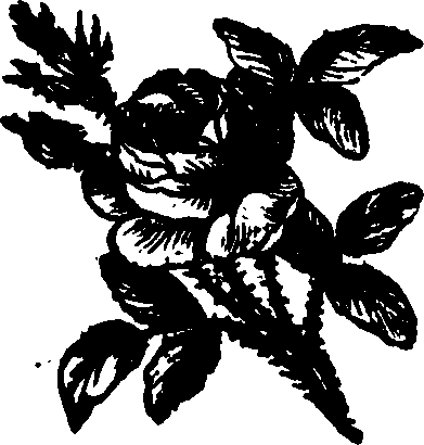 062/062110060000170_0.png