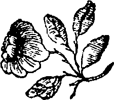062/062160040000050_0.png