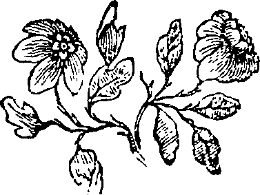 062/062160040000210_0.png