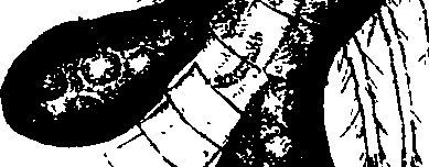 062/062260070100180_0.png