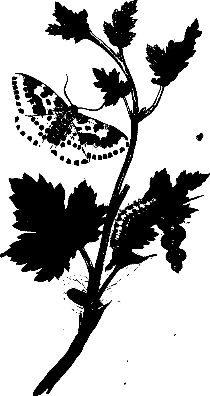 062/062260070100250_0.png