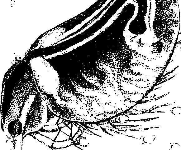 062/062260070100270_0.png