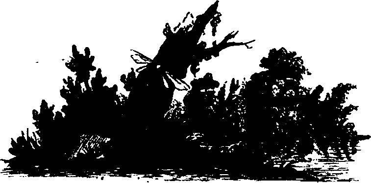 062/062260070100330_0.png