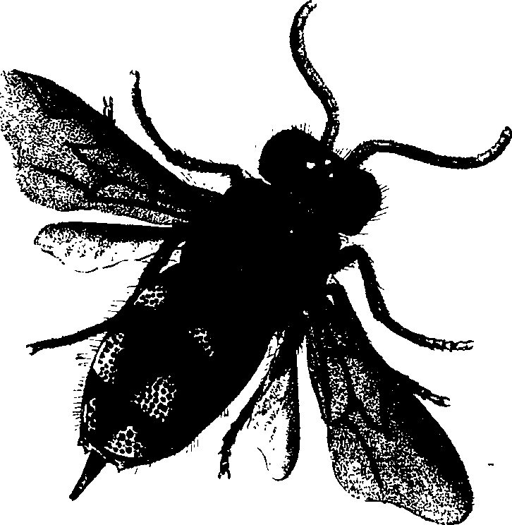 062/062260070100330_1.png