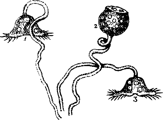 062/062260070100360_0.png