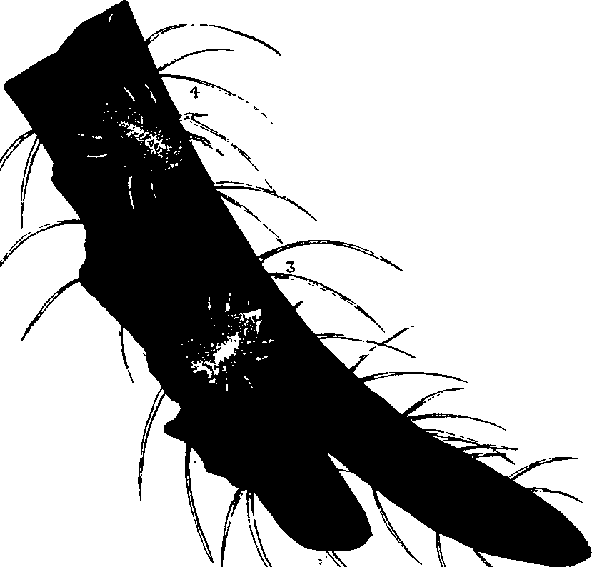 062/062260070100440_0.png