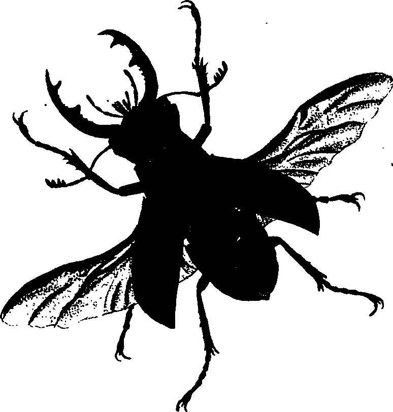 062/062260070100500_0.png