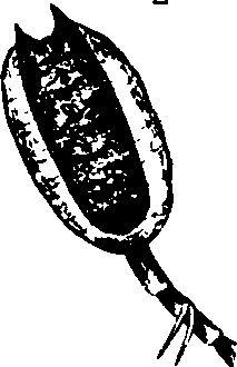 062/062260070100530_0.png