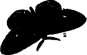 062/062260070100580_0.png
