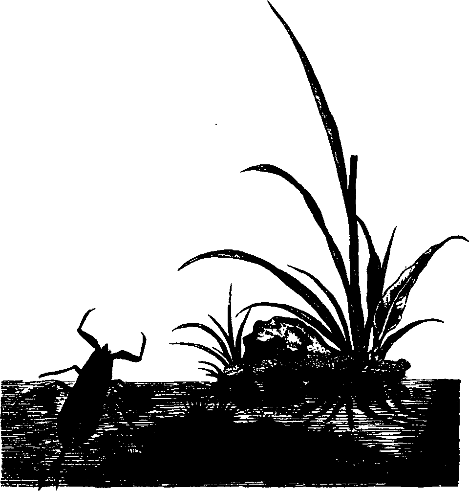 062/062260070100640_0.png
