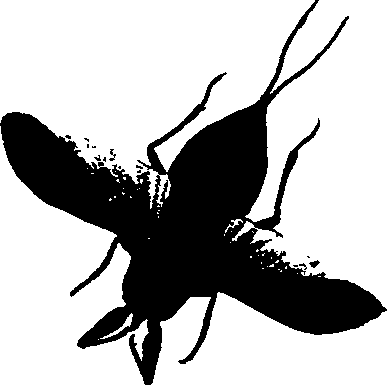 062/062260070100640_1.png