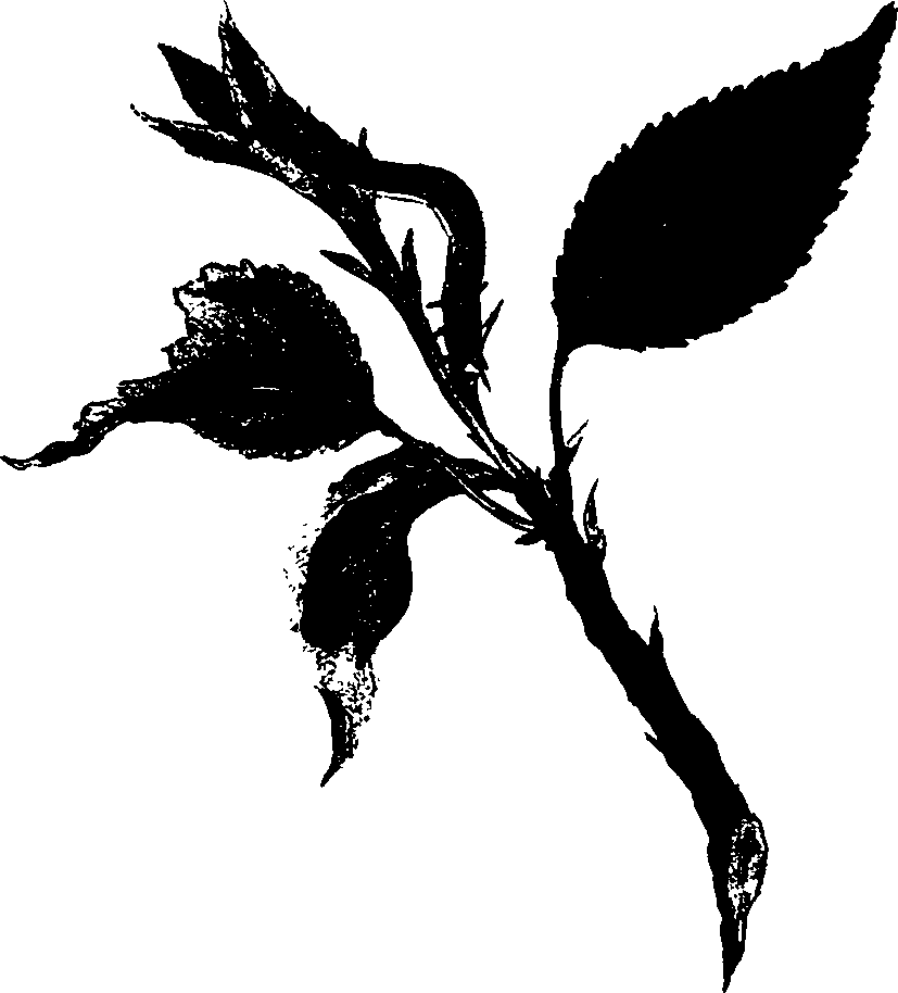 062/062260070100720_0.png