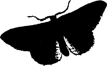 062/062260070100720_1.png