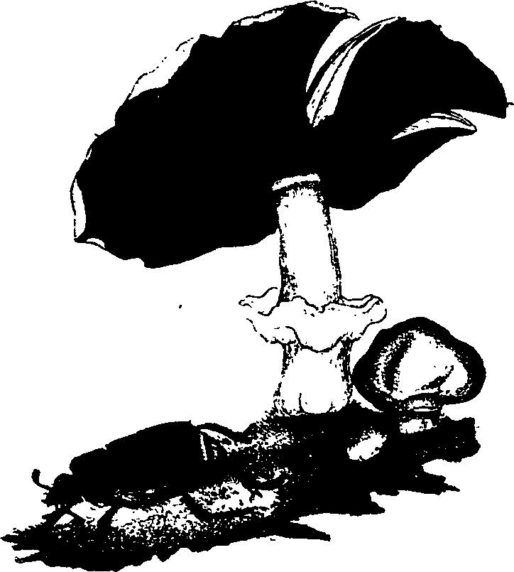 062/062260070100760_0.png