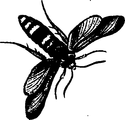 062/062260070100810_0.png