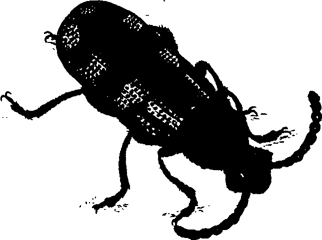062/062260070100890_0.png