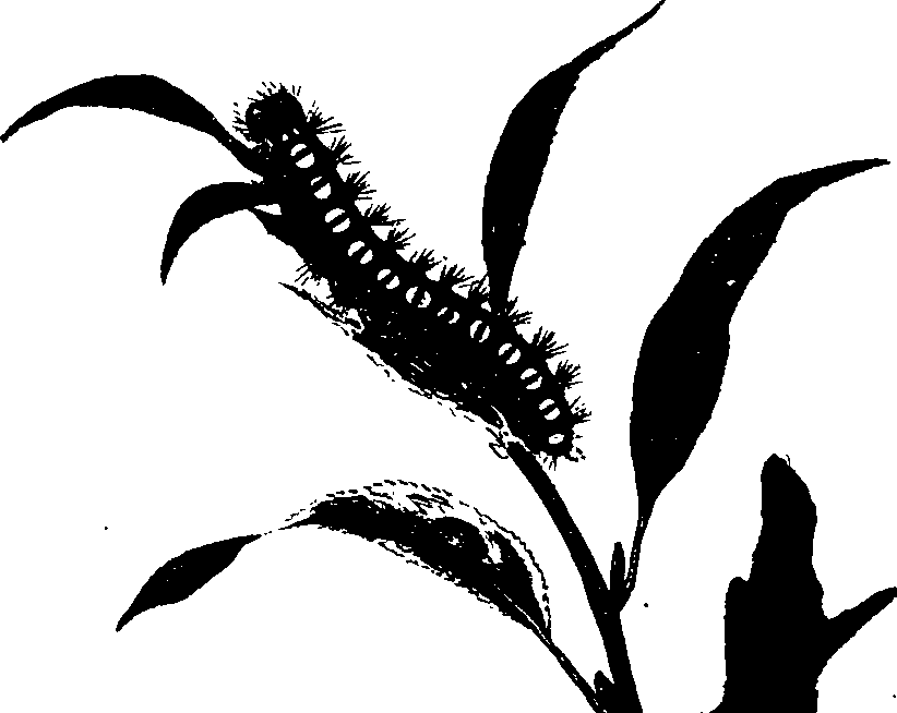 062/062260070100940_0.png