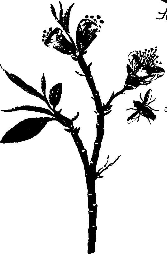062/062260070100960_0.png