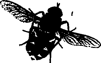 062/062260070100960_1.png