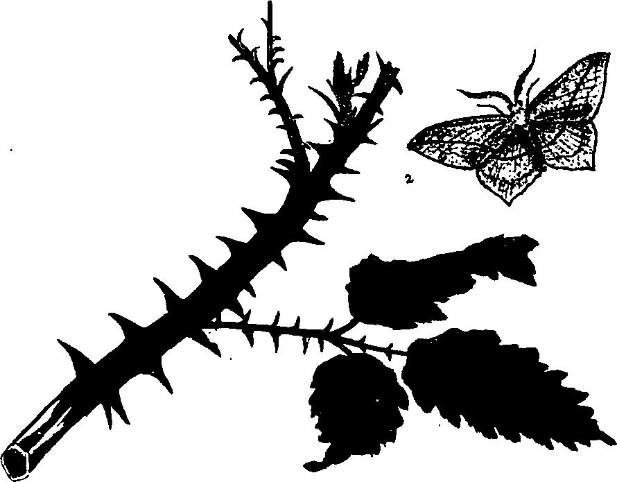 062/062260070101030_0.png