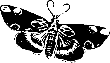 062/062260070101030_1.png
