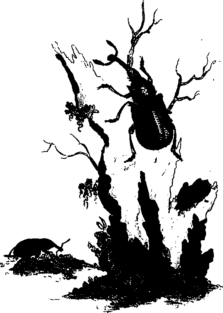 062/062260070101060_0.png