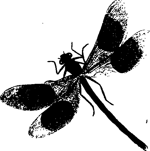 062/062260070101110_0.png
