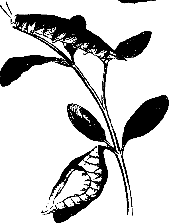 062/062260070200020_0.png