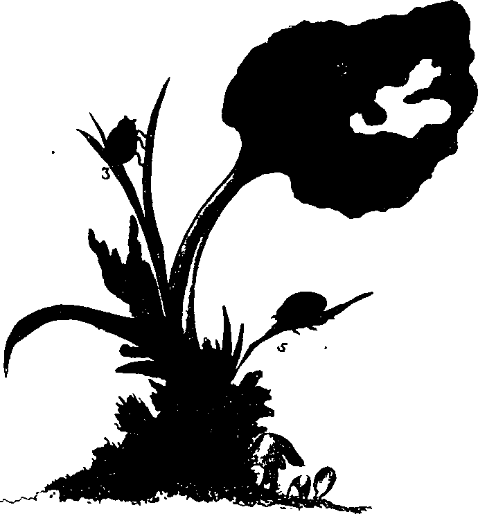 062/062260070200080_0.png