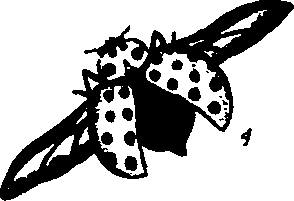 062/062260070200080_1.png