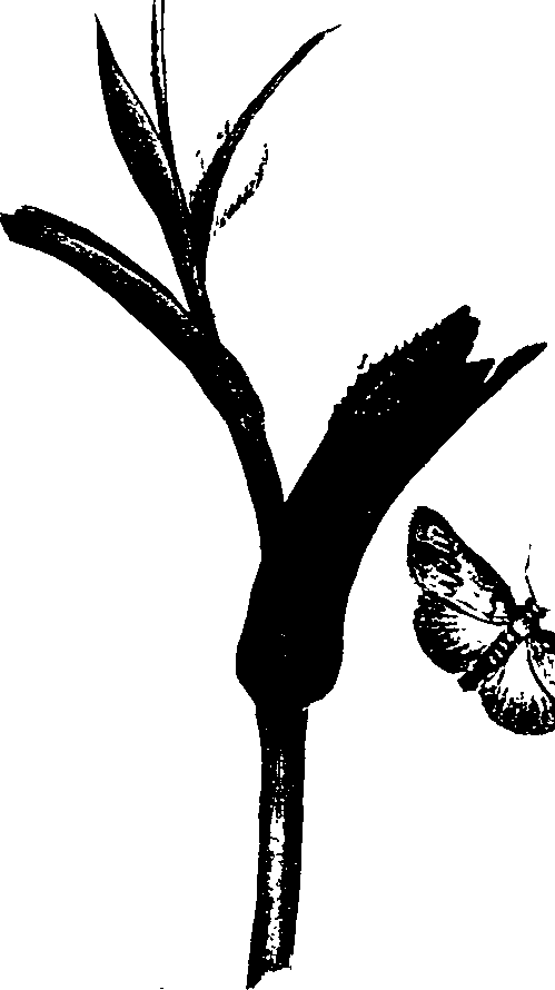 062/062260070200110_0.png