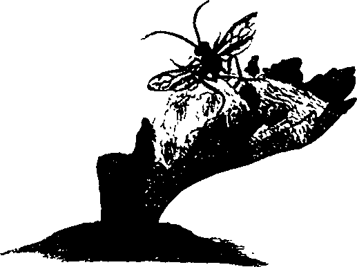 062/062260070200170_0.png