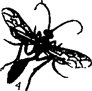 062/062260070200170_1.png