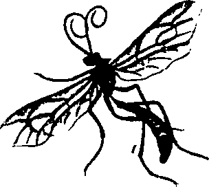 062/062260070200170_2.png