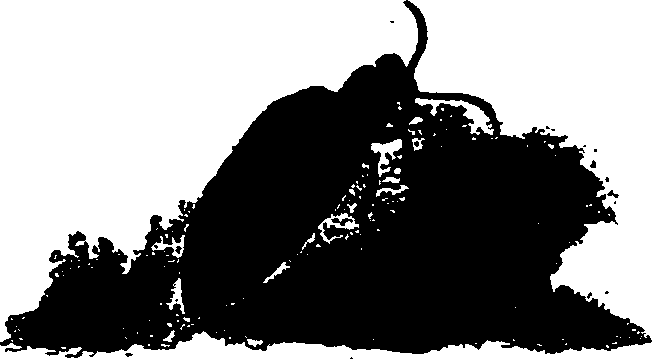 062/062260070200200_0.png