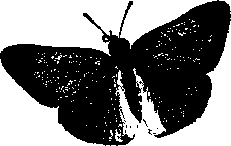062/062260070200200_1.png