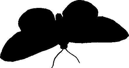 062/062260070200260_0.png