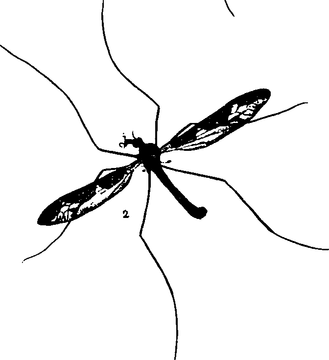 062/062260070200340_0.png