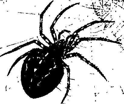 062/062260070200380_0.png