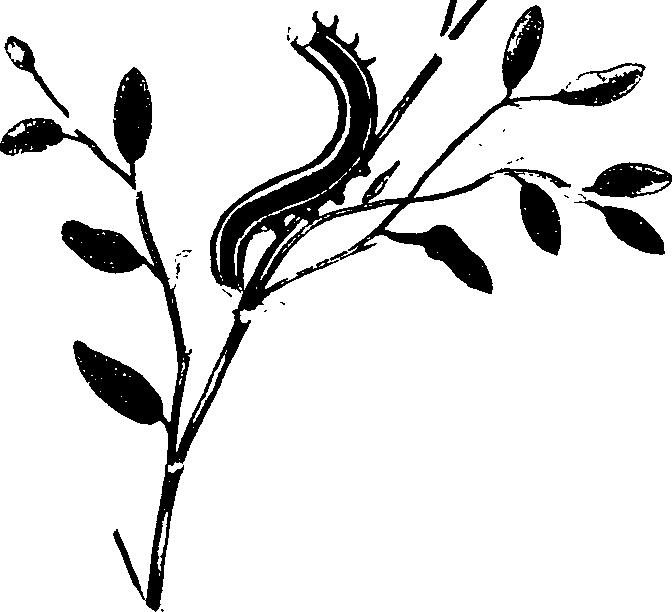 062/062260070200450_0.png