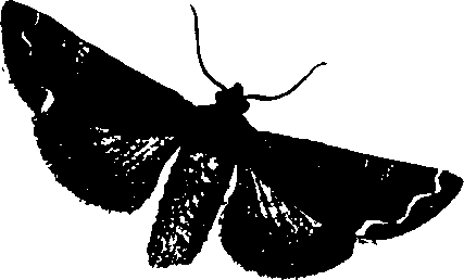 062/062260070200450_1.png